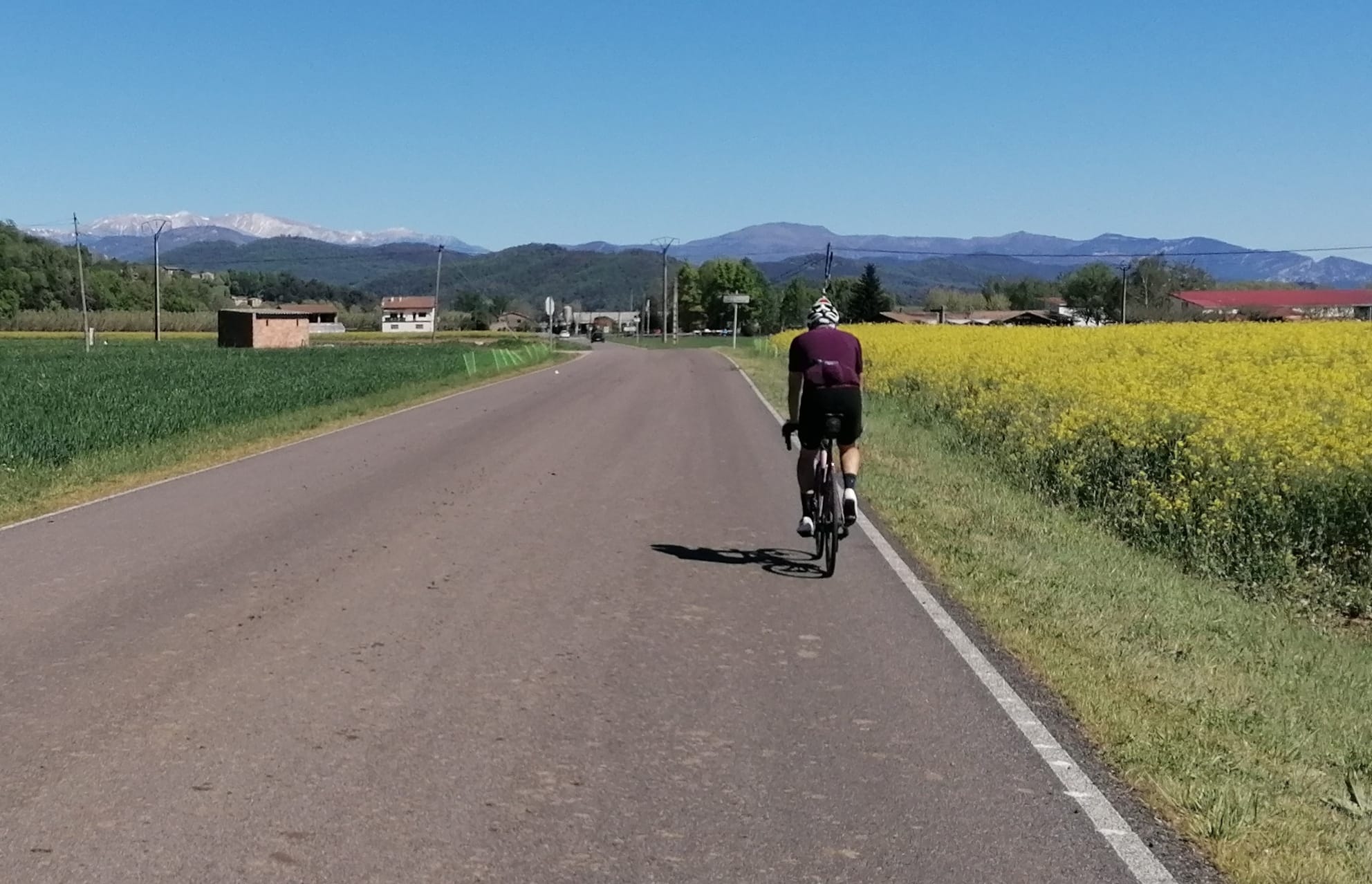 Fietsen richting de Pyreneeën met gele velden